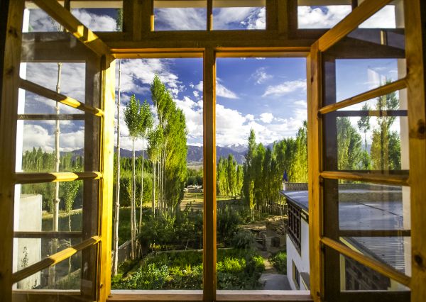 Wood Window Replacement in Palm City