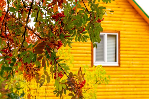 Garden Window Replacement in Palm City